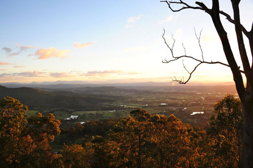 Tempting Mount Tamborine