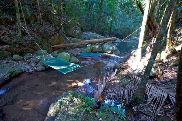 Crystal Creek Rainforest