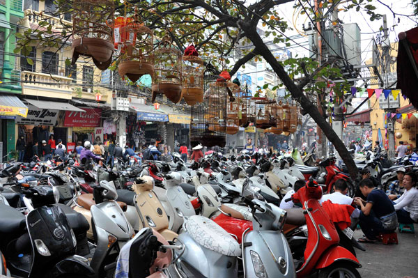 Hanging out in Hanoi