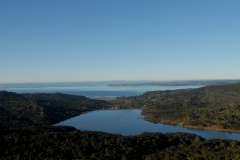 Romancing the Waitakere Ranges