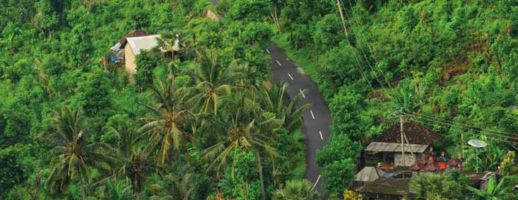 The Joy of Ubud