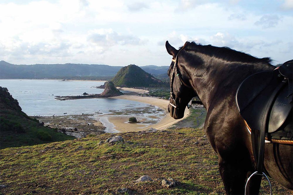 Horse Riding Lombok