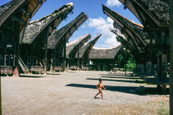 Life & Death in Toraja