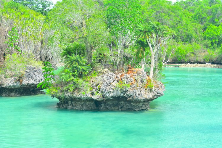 THE GHOST STALLIONS OF MUNA ISLAND, SULAWESI