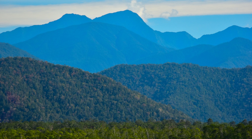 The Wana Wanderers of Sulawesi