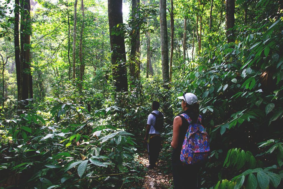 A Jungle Stay in Gunung Leuser National Park, Aceh – North Sumatra