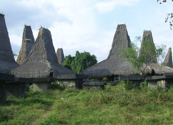 Discovering Sumba